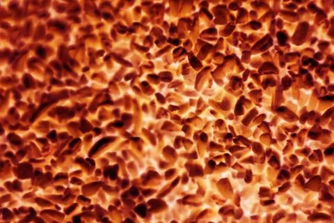 Bacteria or cells under a microscope. Multiplication of bacteria or infection Stock Illustration