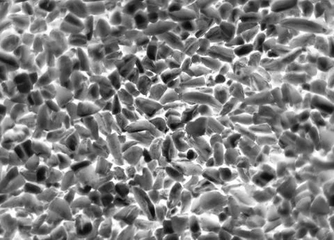 Bacteria or cells under a microscope. Multiplication of bacteria or infection Stock Photos