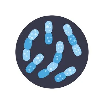 Bacteria or germ microorganisms multiplying under a microscope view Stock Illustration