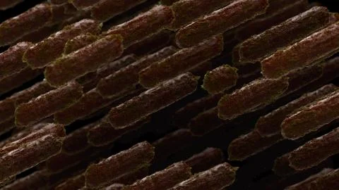 Bacteria or virus concept Stock Illustration