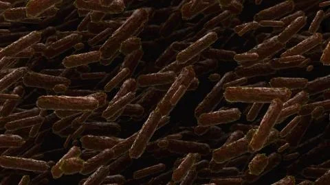 Bacteria or virus concept Stock Illustration