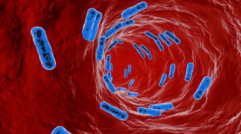 Bacteria on an organic surface. Stock Footage 56452765