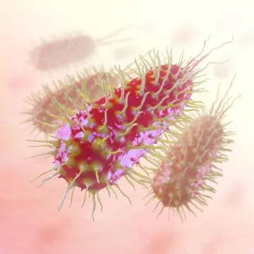 Bacteria Pandemic Stock Illustration