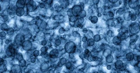 Bacteria particles, microscope and molec... | Stock Video | Pond5