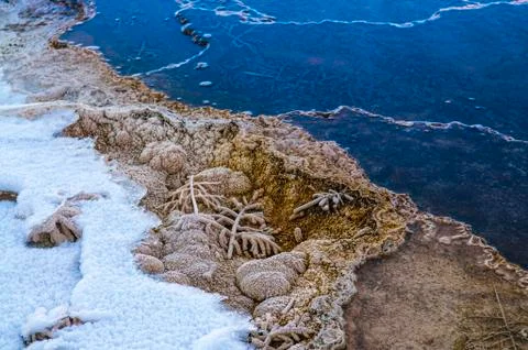 Bacteria pattern - yellowstone in winter Foto stock