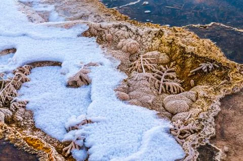 Bacteria pattern - yellowstone in winter Foto stock