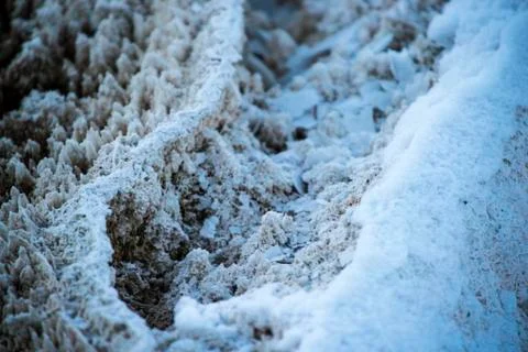 Bacteria pattern - yellowstone in winter Foto stock