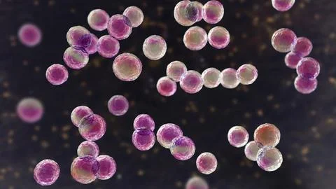 Bacteria Pediococcus, 3D illustration Stock Illustration