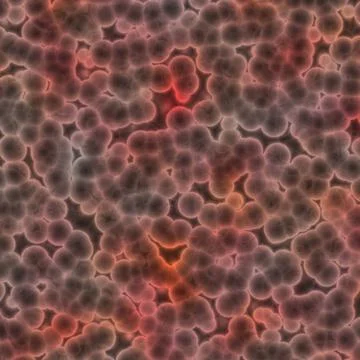 Bacteria pink negative gram negative bacteria cause of bacterial infection... Stock Photos