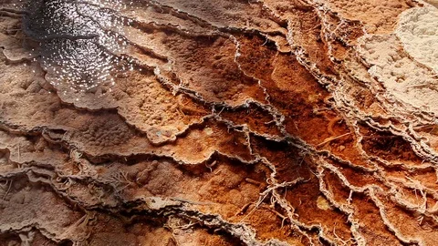Bacteria Pools in Yellowstone Stock Footage 89411816