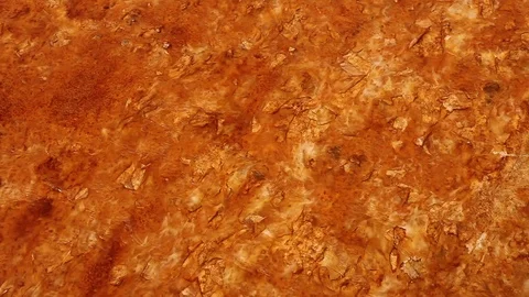 Bacteria Pools in Yellowstone Stock Footage 89411827