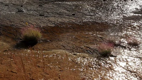 Bacteria Pools in Yellowstone Stock Footage 89411856