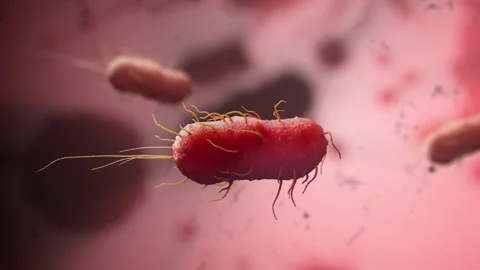 Bacteria on Red Background 3D Animation Stock Footage 265030309