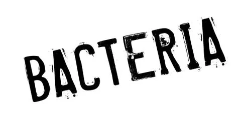 Bacteria rubber stamp 스톡 일러스트