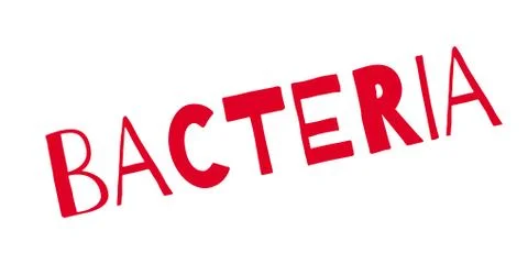 Bacteria rubber stamp 스톡 일러스트