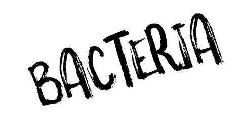Bacteria rubber stamp 스톡 일러스트