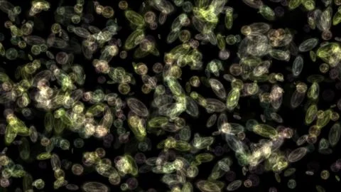 Bacteria seen through a microscope Foto stock