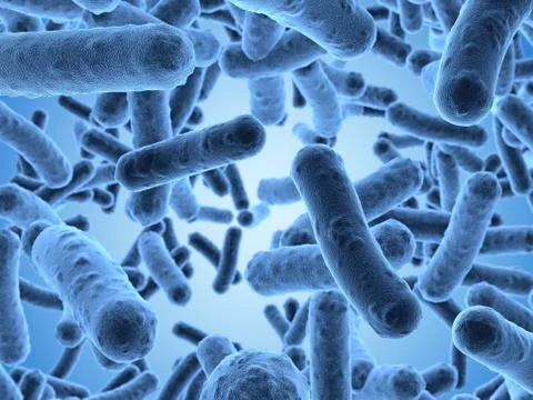 Bacteria seen under a  scanning microscope Stock Illustration