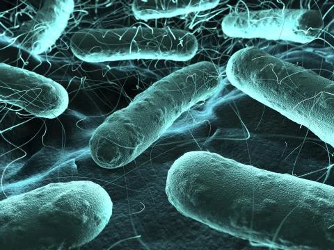 Bacteria seen under a  scanning microscope Stock Illustration