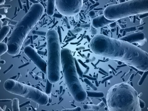 Bacteria seen under a  scanning microscope Stock Illustration