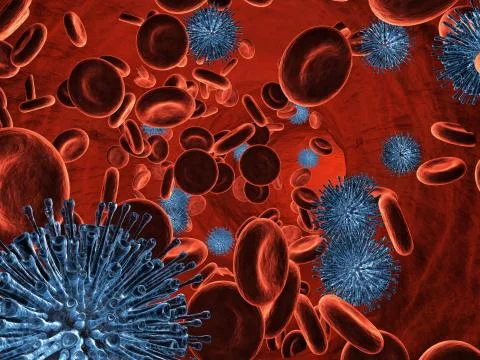 Bacteria seen under a  scanning microscope Stock Illustration