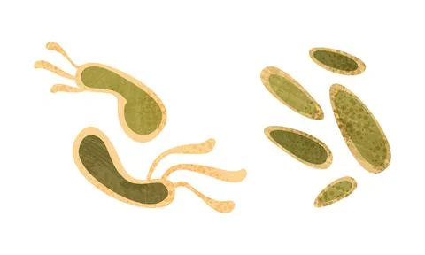 Bacteria Set, Disease Causing Objects, Microorganisms Cartoon Vector Illustration