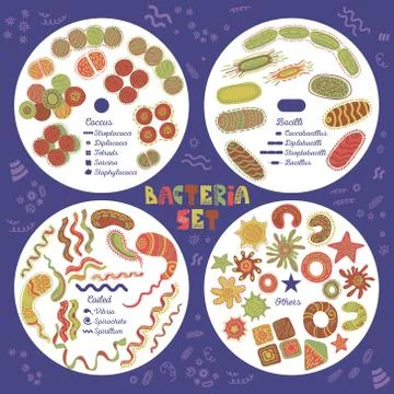 Bacteria Set Stock Illustration