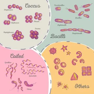 Bacteria Set Stock Illustration