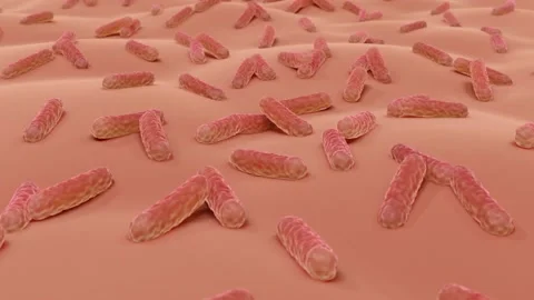 Bacteria on skin Stock Footage 205398295