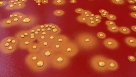 Bacteria Staphylococcus aureus, 3D illustration Illustrazione stock