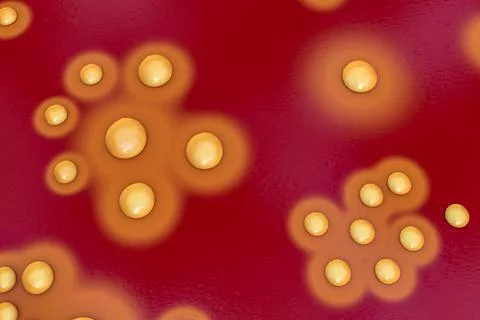 Bacteria Staphylococcus aureus, 3D illustration Stock Illustration