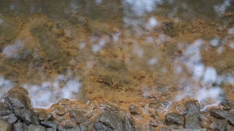 Bacteria in Stream Video stock 106945730