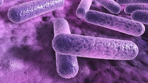 Bacteria on a surface, 3d rendered microscopic closeup animation 库存影片 87072059