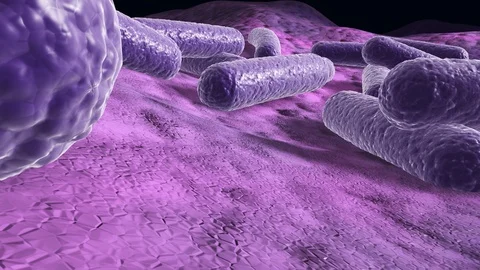 Bacteria on a surface, 3d rendered microscopic closeup fly-trough animation 库存影片 87686802