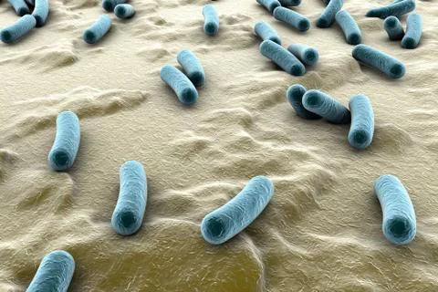 Bacteria on surface of skin, mucous membrane or intestine Stock Illustration