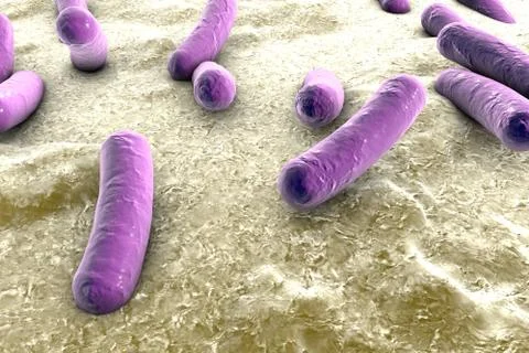 Bacteria on surface of skin, mucous membrane or intestine Stock Illustration