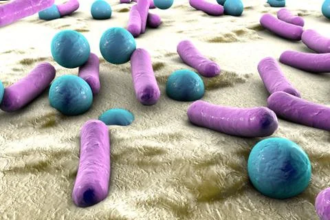 Bacteria on surface of skin, mucous membrane or intestine Stock Illustration