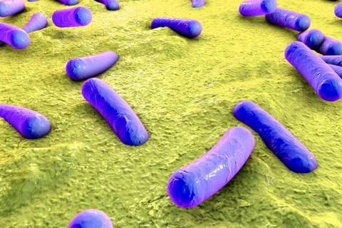 Bacteria on surface of skin, mucous membrane or intestine Stock Illustration