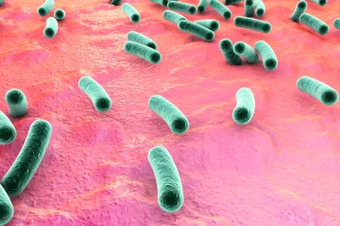 Bacteria on surface of skin, mucous membrane or intestine Stock Illustration