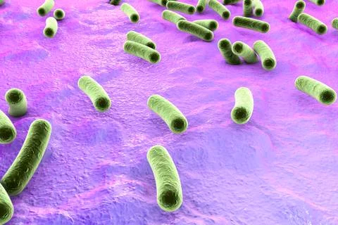 Bacteria on surface of skin, mucous membrane or intestine Illustrazione stock
