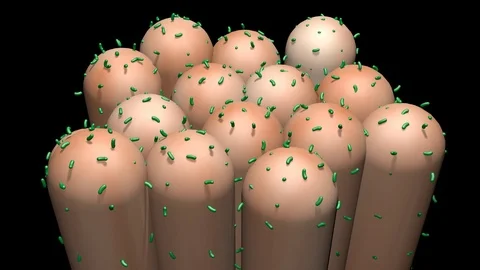 Bacteria on toothbrush.  Camera zooms in Stock Footage 86671022