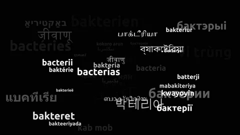 Bacteria Translated in 48 Worldwide Languages Endless Looping 3d Zooming Word Stockbeeldmateriaal 145200911
