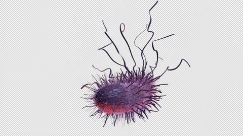 A Bacteria with transparent (alpha) background Stock Footage 234326868