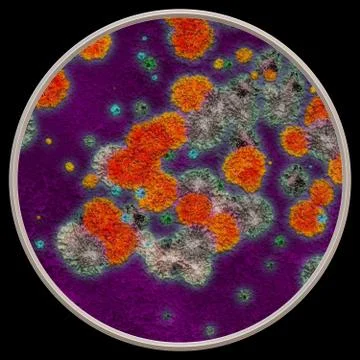 Bacteria under microscope - 3d illustration Stock-Illustration