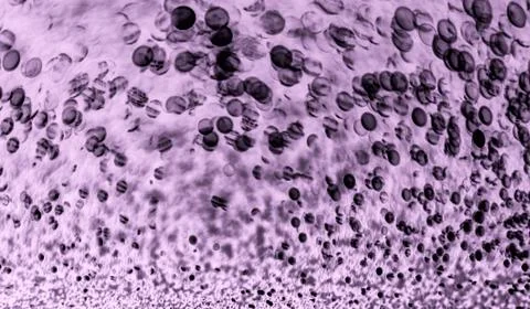 Bacteria under the microscope background Stock Photos