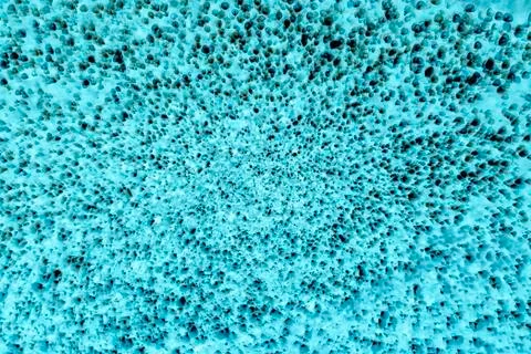 Bacteria under the microscope background Stock Photos