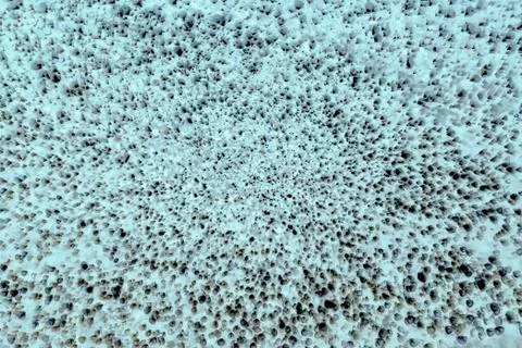 Bacteria under the microscope background Stock Photos