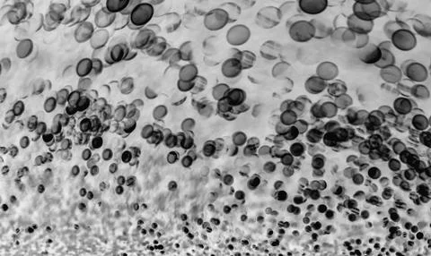 Bacteria under the microscope background Stock Photos