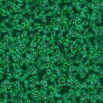 Bacteria under microscope Stock Illustration