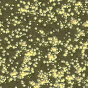 Bacteria under microscope Ilustración de archivo